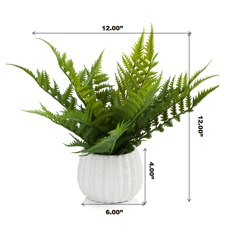 Primrue 12'' Faux Fern Plant in Ceramic Pot Wayfair